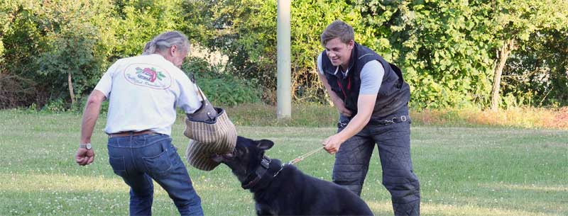 Eindrucksvolle Vorstellung des Schäferhundvereins. Eindrucksvolle Vorstellung des Schäferhundvereins.