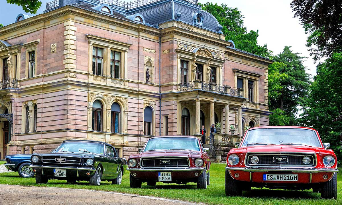 Die Mustang machen sich im Park sehr gut. Die Mustang machen sich im Park sehr gut.