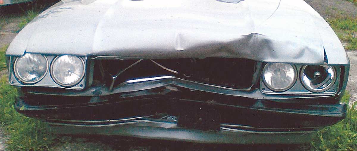 Die Begegnung mit dem Reh hinterließ am Capri einen nachhaltigen Eindruck. Die Begegnung mit dem Reh hinterließ am Capri einen nachhaltigen Eindruck.