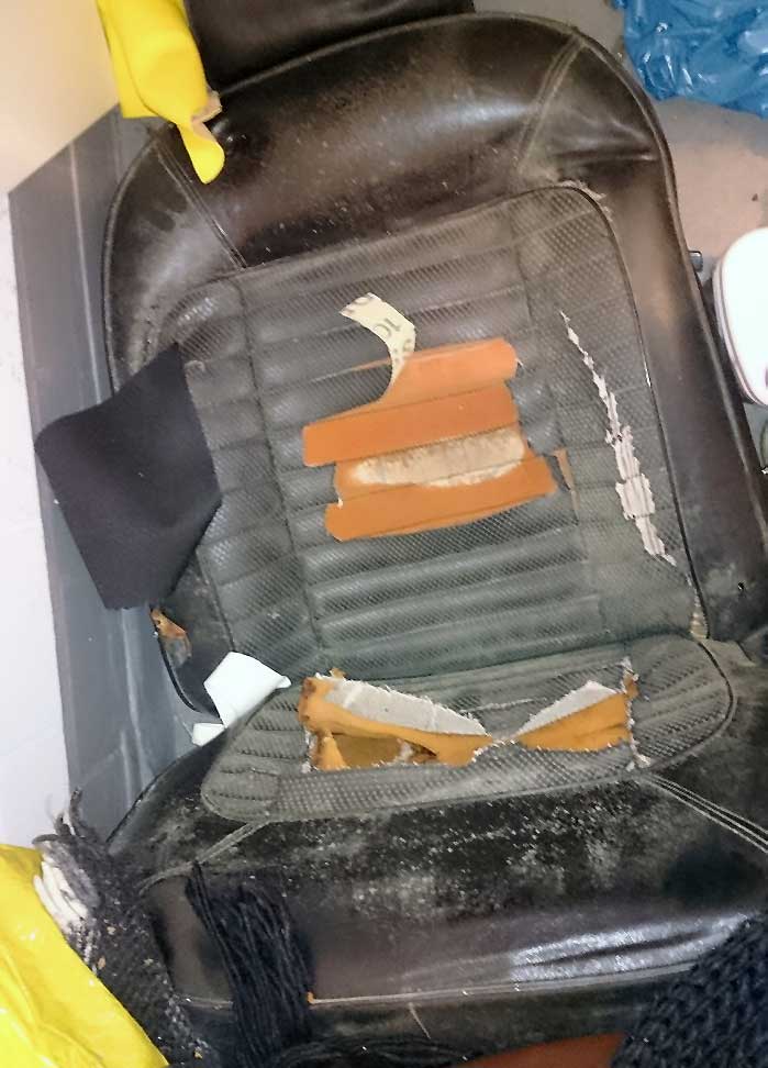 Wo kalifornische Sonne strahlt... Wo kalifornische Sonne strahlt...