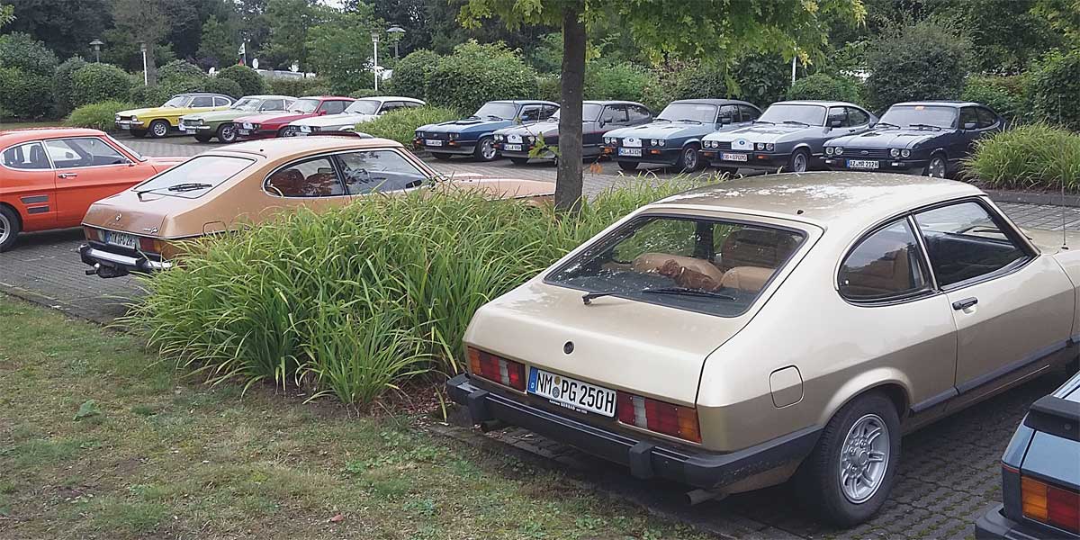 Von Rookies und Routiniers